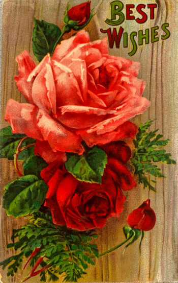 Best Wishes Roses Postcard 1912_Front