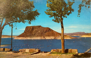Elephant Butte New Mexico 1963 Postcard_Front